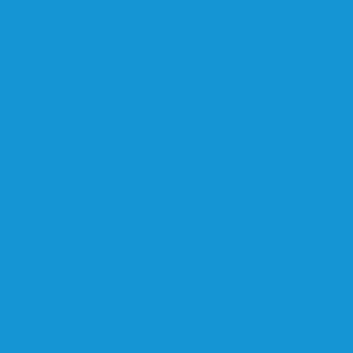 BD Seamless Corded Regal Blue 2.72m x 11m