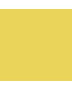 BD SEAMLESS DAF-FO-DIL 1.35m x 11m