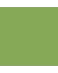 BD SEAMLESS VERI GREEN 1.35m x 11m