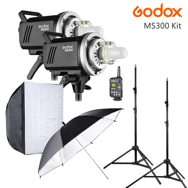 Godox MS300 Studio 2 Head Flash Kit