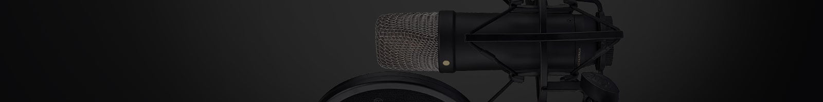 Professional Audio